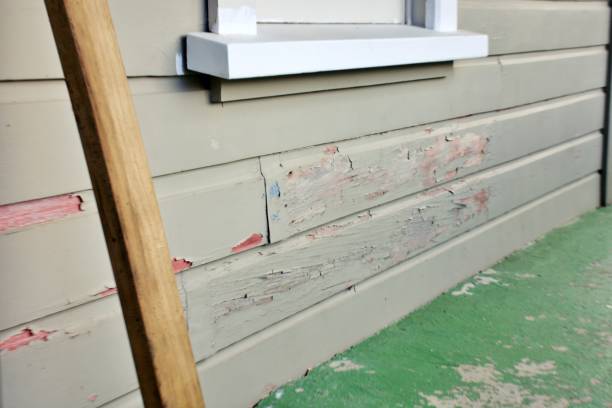 Best Siding for New Construction  in Rosenhayn, NJ